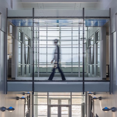 Services | Oak Point Associates