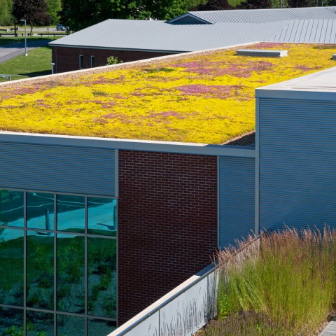 Services | Oak Point Associates